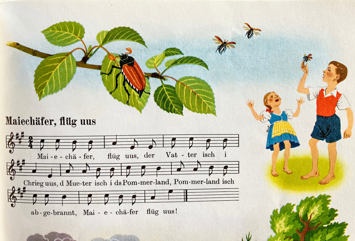 Das Maikäferlied im Liederbuch «Chömid Chende, mer wänd singe»