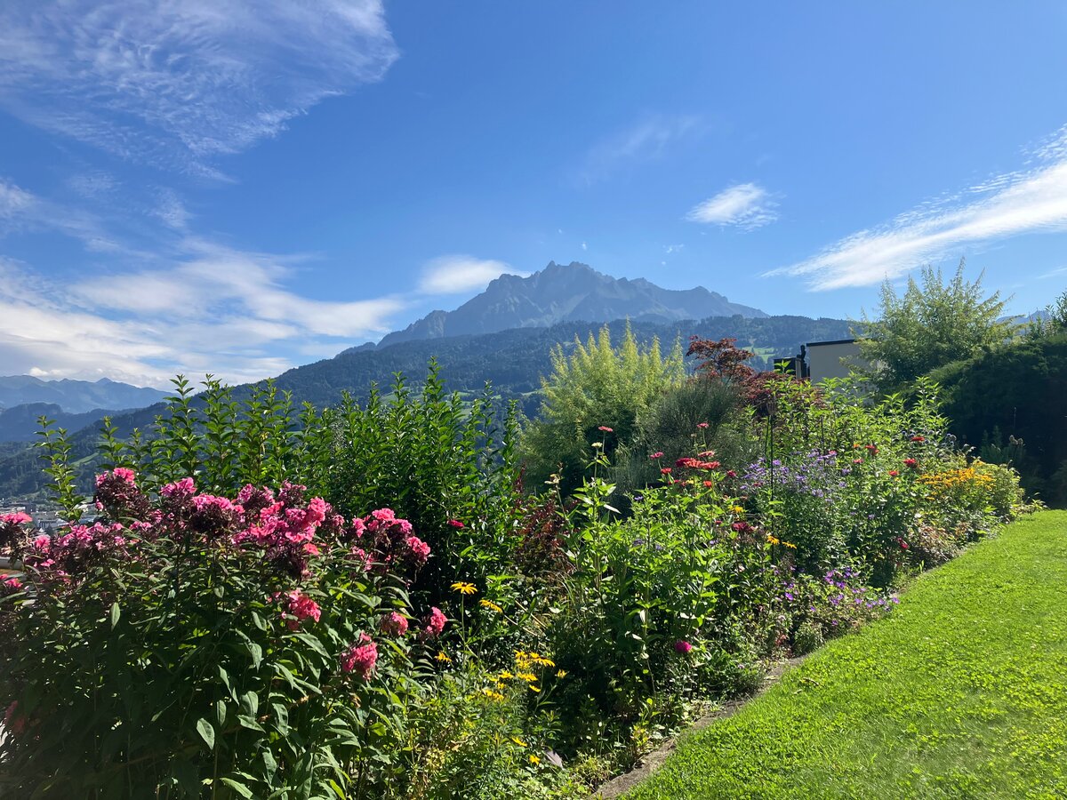 Mit Blick auf den Pilatus hatten wir unsere leider nicht altersgerechte Traumwohnung am Waldrand und in der N&auml;he zur Stadt gefunden.