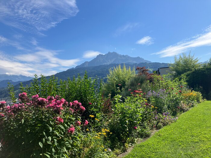 Mit Blick auf den Pilatus hatten wir unsere leider nicht altersgerechte Traumwohnung am Waldrand und in der N&auml;he zur Stadt gefunden.