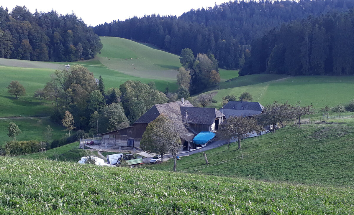 Auf landwirtschaftlichen Betrieben sind Frauen bei Unf&auml;llen und bei einer Scheidung die Verliererinnen. (Symbolbild)