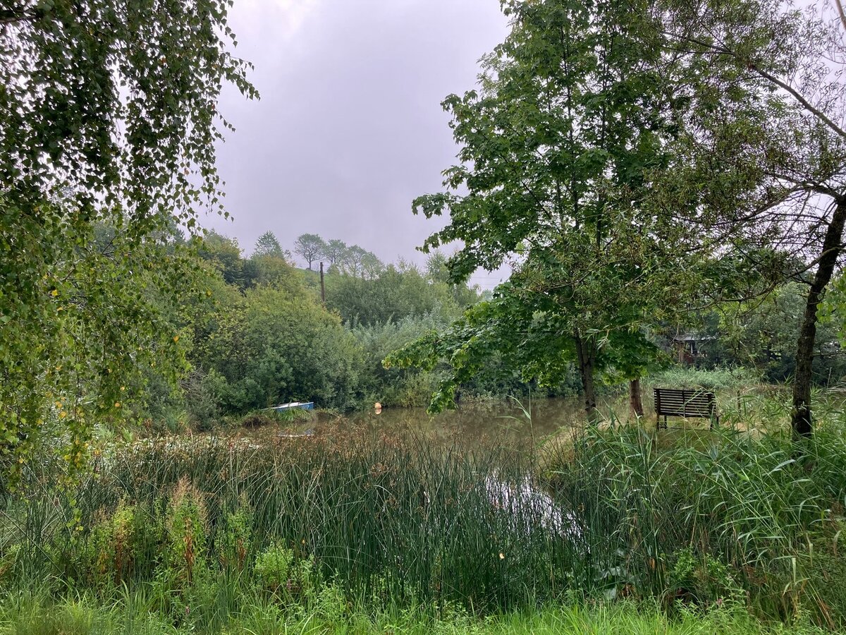 Der Heinzelteich &ndash; eine Idylle